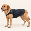 The Raincoat