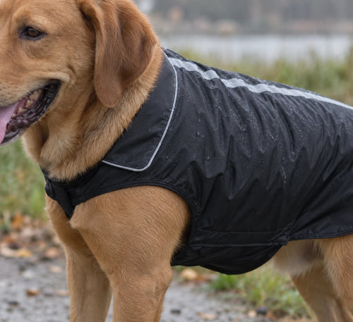 L’Imperméable